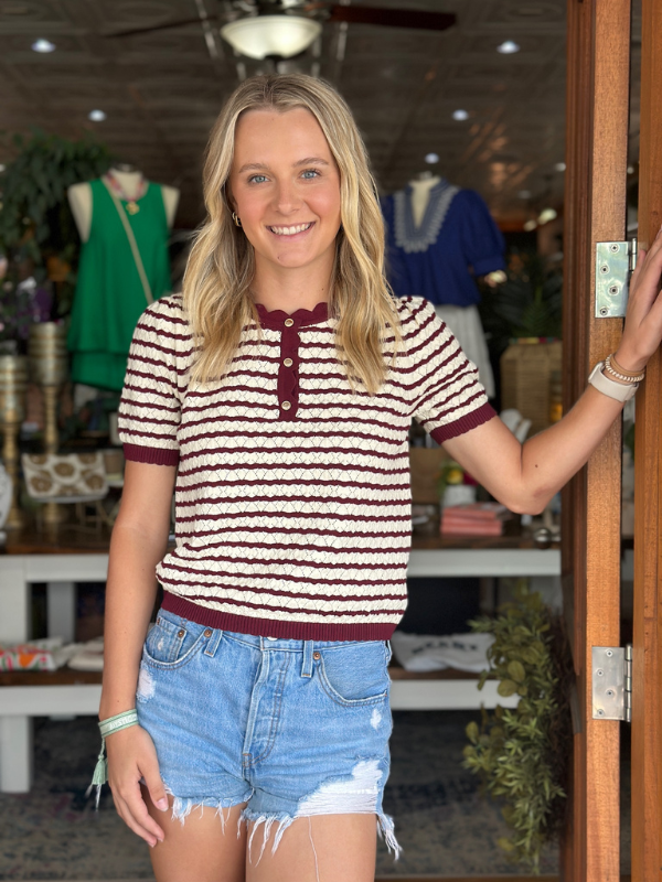 Burgundy Stripe Short Sleeve Knit Sweater