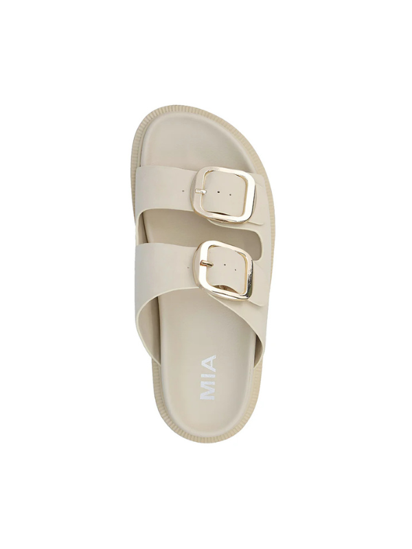 Gen Slides - Seashell