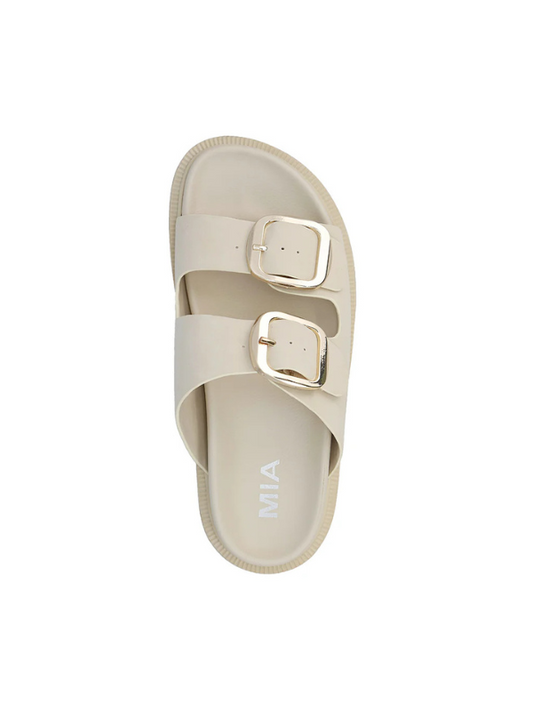 Gen Slides - Seashell