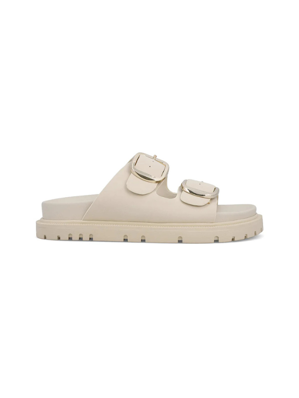 Gen Slides - Seashell
