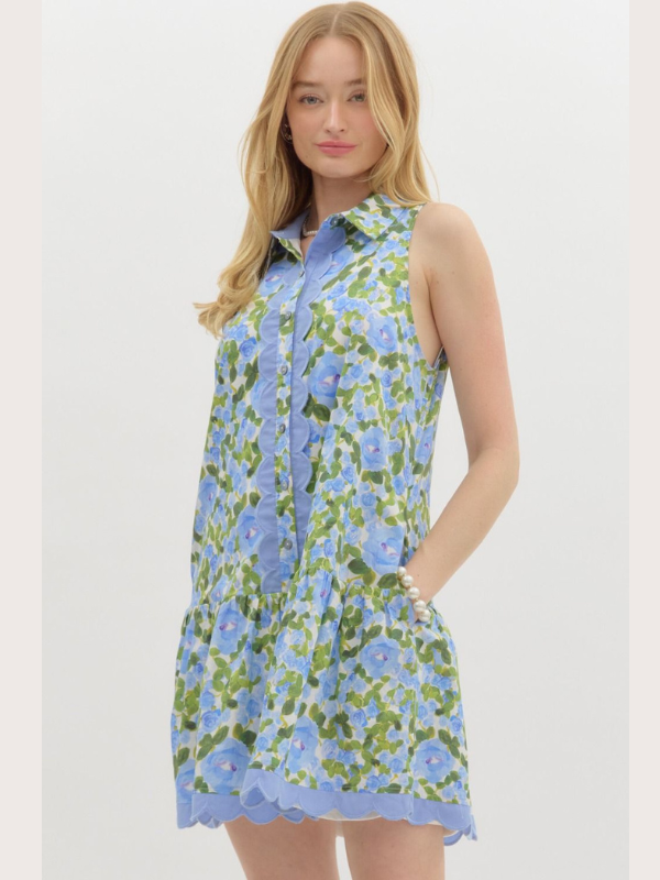 Blue + Green Floral Sleeveless Shirt Dress