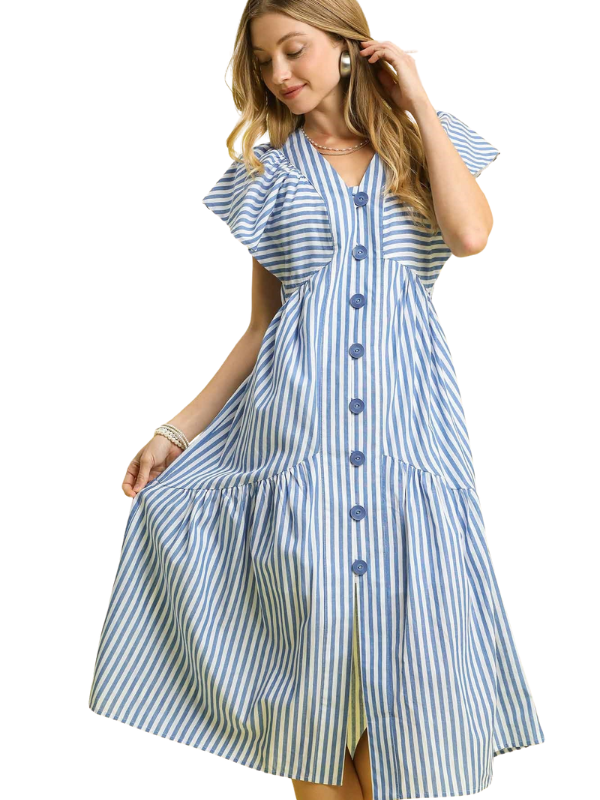 Blue Stripe Button Down Midi Dress