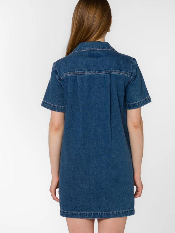 River Denim Dress