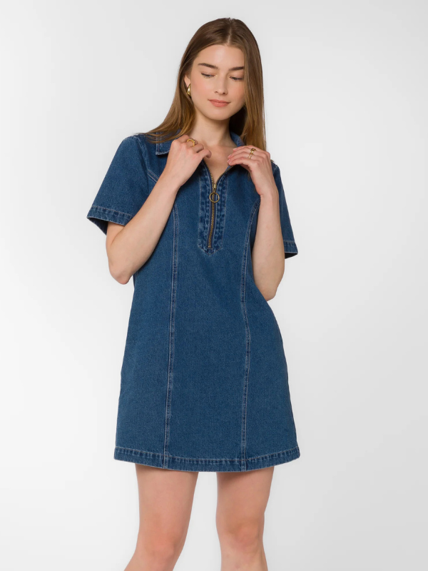 River Denim Dress