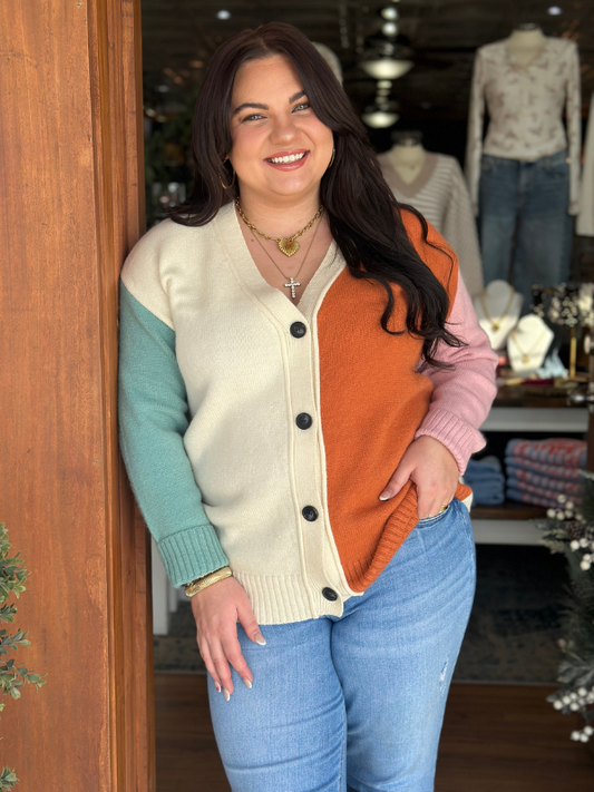 Muted Multi Color Button Cardigan