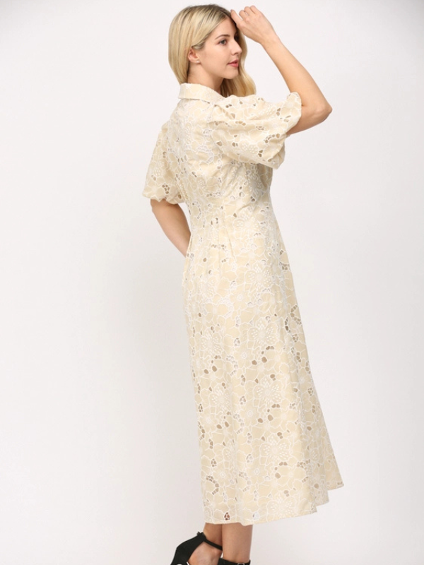 Beige Lace Pleated Dress