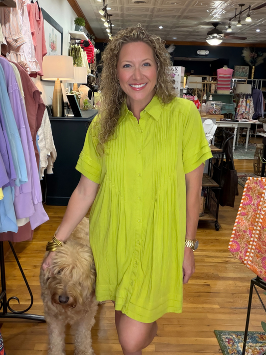 Woman in a bright green dress standing with a dog in a store setting