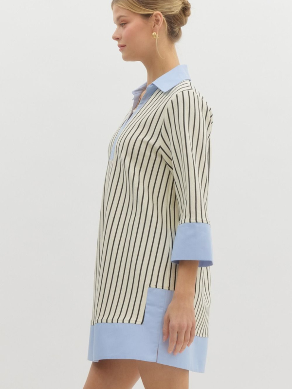 Cream & Black Stripe Chambray Contrast Dress