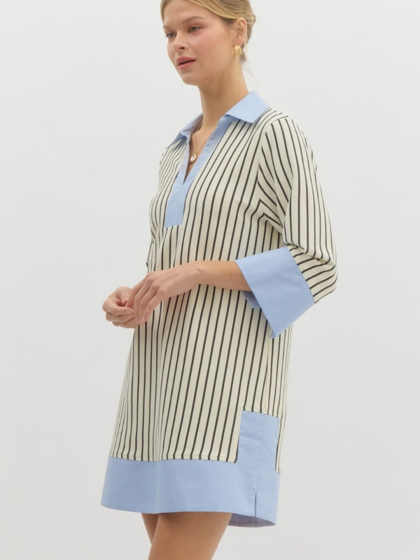 Cream & Black Stripe Chambray Contrast Dress