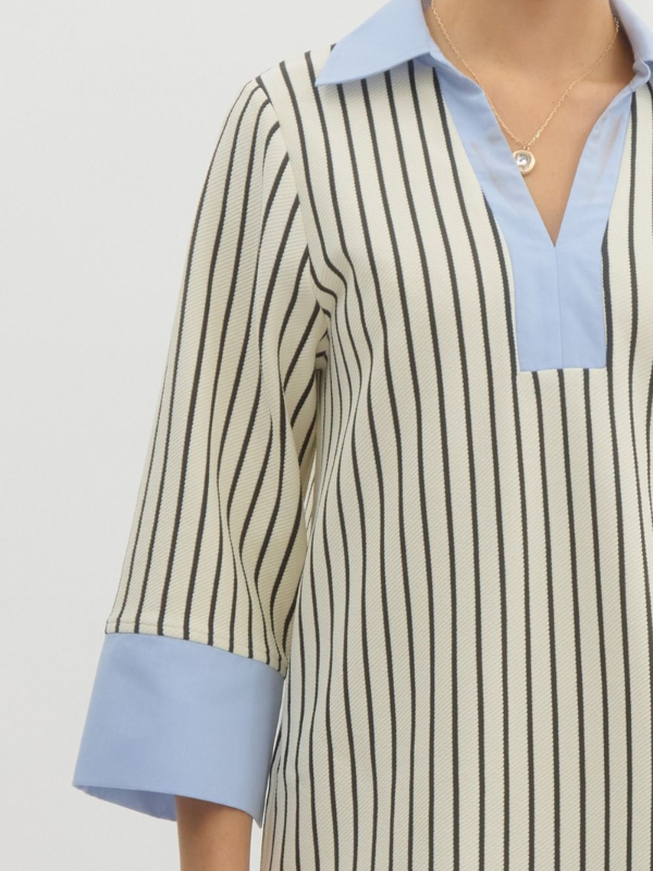 Cream & Black Stripe Chambray Contrast Dress