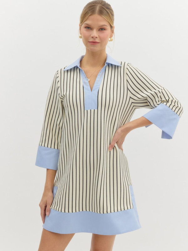 Cream & Black Stripe Chambray Contrast Dress