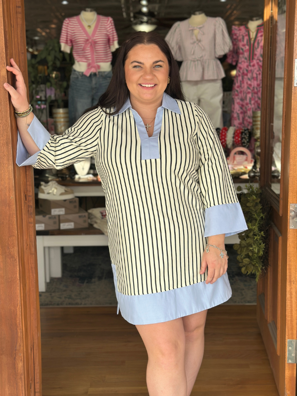 Cream & Black Stripe Chambray Contrast Dress