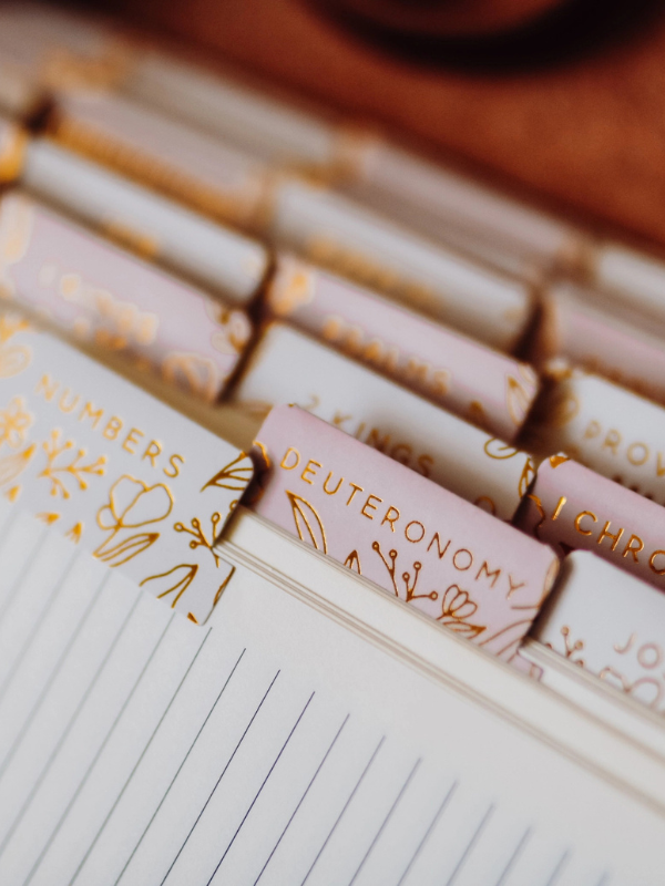 Gold Foil Bible Tabs - Dusty Pink