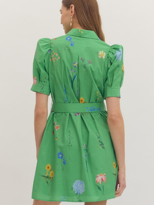 Green dress with floral embroidery on a plain background
