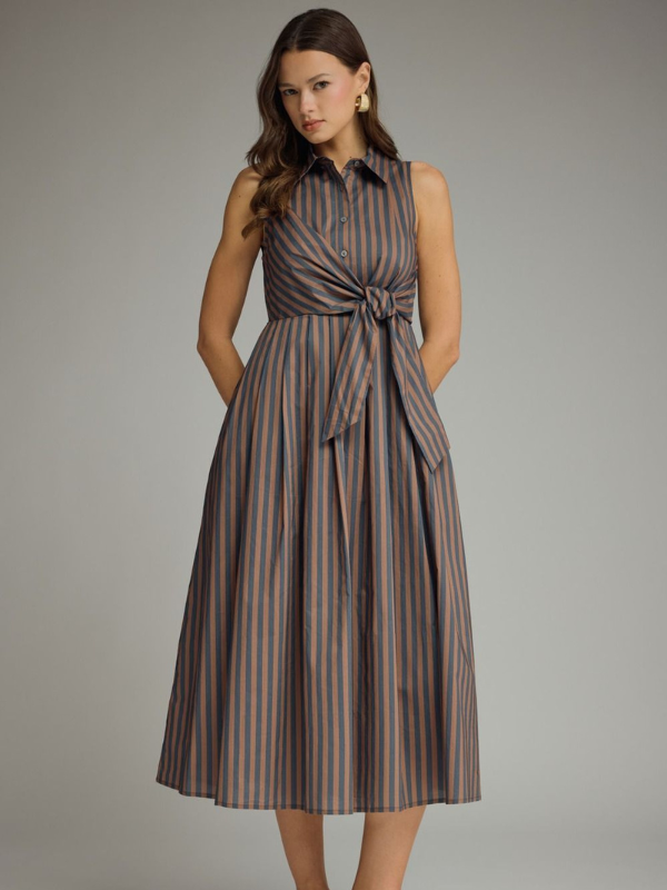 Navy + Brown Striped Tie Midi Dress