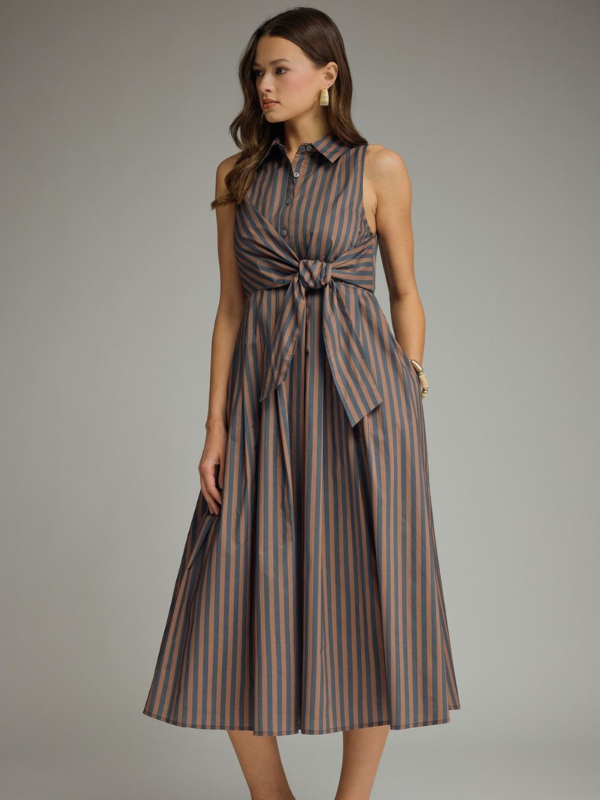 Navy + Brown Striped Tie Midi Dress