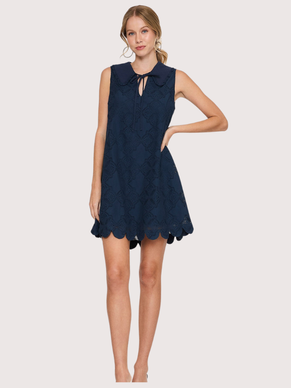 Navy Lace A-Line Mini Dress