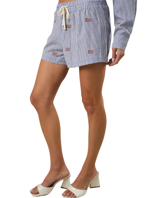 Person wearing blue and white striped shorts with American flag design on a white background