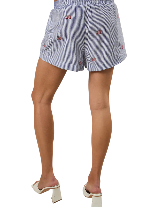 Blue striped shorts with small flags on a white background